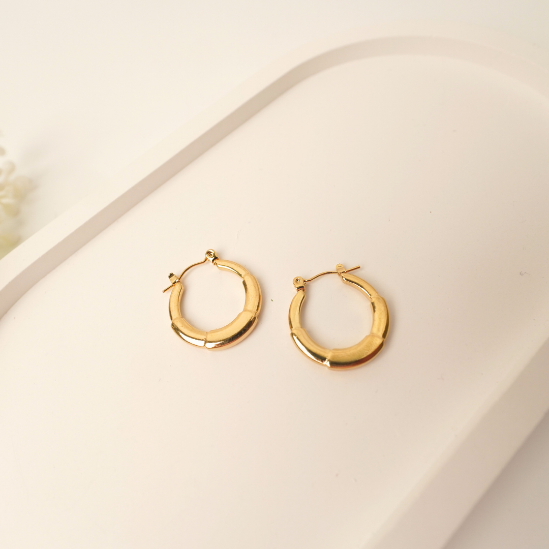 Ashara Classic Twist Hoops