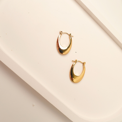 Ashara Elan Hoops
