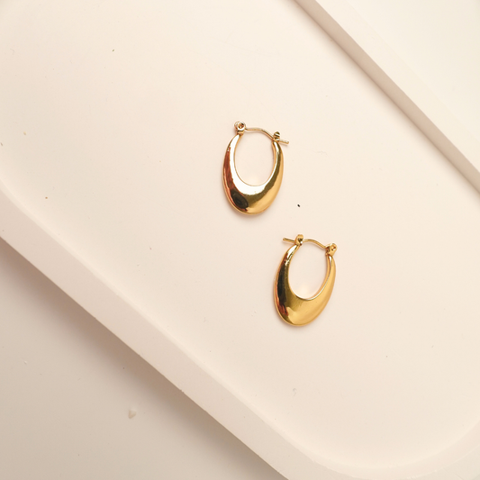 Ashara Elan Hoops