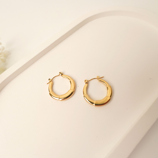 Ashara Classic Twist Hoops