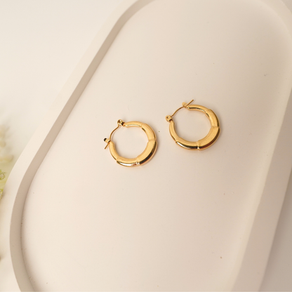 Ashara Classic Twist Hoops