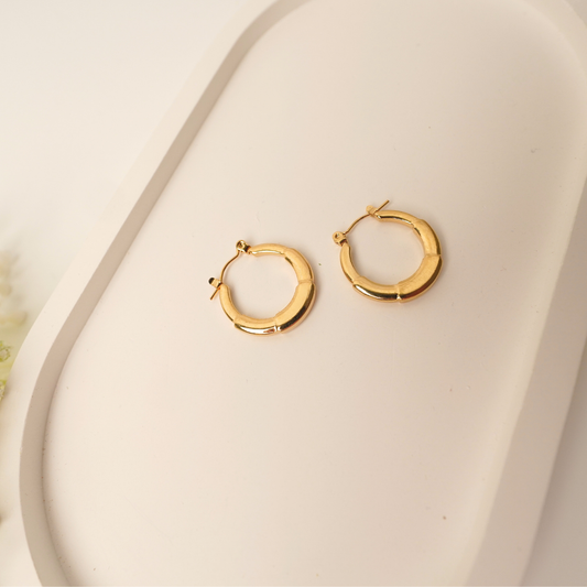 Ashara Classic Twist Hoops