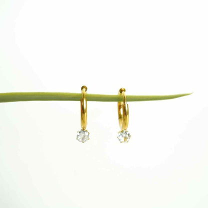 Luxe Spark Gold-Plated Mini Hoop Earrings