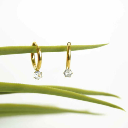 Luxe Spark Gold-Plated Mini Hoop Earrings