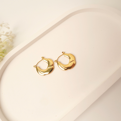 Ashara Wavelet Hoops
