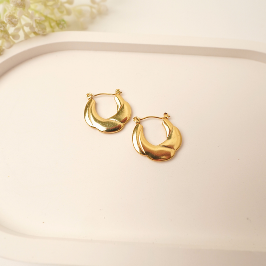 Ashara Wavelet Hoops