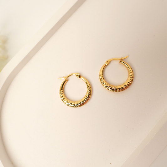 Ashara Zarina Hoops