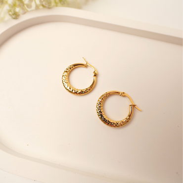 Ashara Zarina Hoops