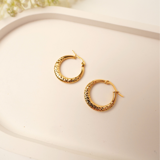 Ashara Zarina Hoops