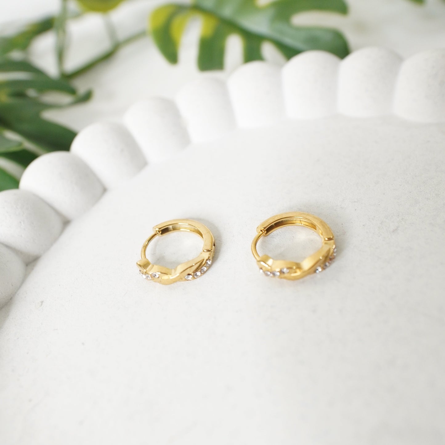 Gold hoop earrings on a white surface with green leaves in the background